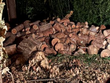 Hout voor de kachel beschikbaar voor biedingen