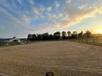 Stal vol pension, Weidegang