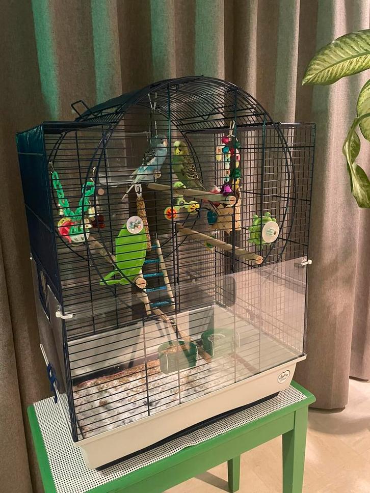 Vogelkooi, Dieren en Toebehoren, Vogels | Hokken en Kooien, Zo goed als nieuw, Vogelkooi, Ophalen