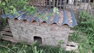 Cabane à Poule ou à Lapin