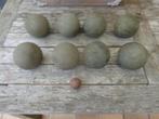 petanque ballen, Sport en Fitness, Bowlen, Ophalen of Verzenden
