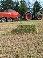 VOORDROOG BALEN TE KOOP – méteil :triticale, haver, erwten, Dieren en Toebehoren, Ophalen of Verzenden, Vee