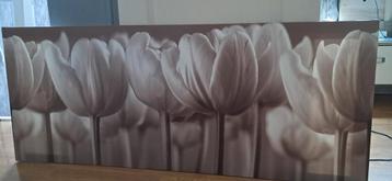 Canvas tulpen beschikbaar voor biedingen
