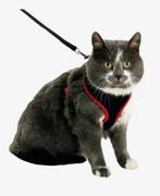 Flamingo kat harnass - les, Ophalen