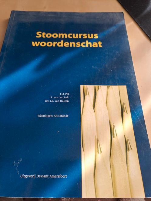 J.J.J. Pol - Stoomcursus woordenschat, Livres, Livres scolaires, Neuf, Néerlandais, Enlèvement ou Envoi