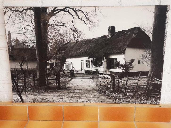 MEUROP... vintage zw/wit...foto...60's-70's!!, Antiek en Kunst, Curiosa en Brocante, Ophalen of Verzenden