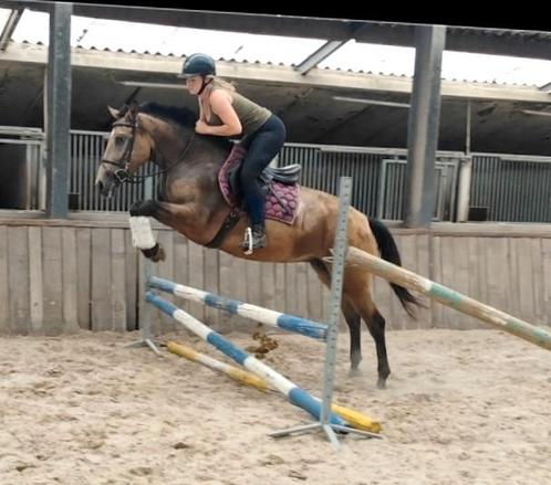 Zeer unieke en brave appaloosa E pony !!, Dieren en Toebehoren, Pony's, Merrie, B, E pony (1.48m - 1.57m), Springpony, 3 tot 6 jaar