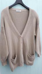 gilet cardigan femmes beige grande taille, Beige, Enlèvement ou Envoi