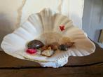 Vintage keramische schelp - perfecte staat, Ophalen