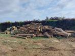 Hout, 6 m³ of meer, Ophalen