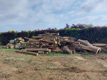 Hout beschikbaar voor biedingen