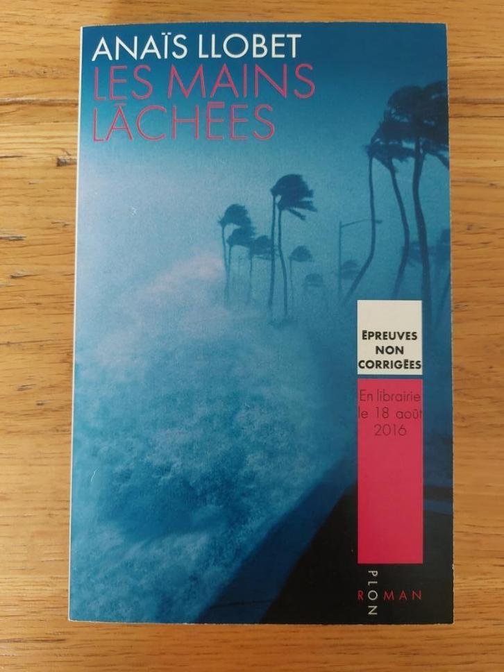 Les mains lâchées - Anaïs LLobet, Boeken, Romans, Zo goed als nieuw, Ophalen of Verzenden