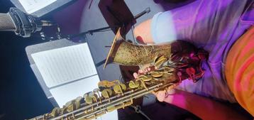 Minor repairs for wind instruments (saxo, flute, clarinet) beschikbaar voor biedingen