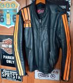 VESTE DE MOTO EN CUIR BUSE POUR HOMME, Enlèvement ou Envoi, Hommes