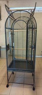 Papegaaienkooi , Vogelkooi, Dieren en Toebehoren, Vogels | Hokken en Kooien, Ophalen, Zo goed als nieuw, Metaal, Vogelkooi