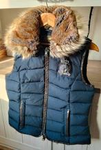 Hv polo bodywarmer donkerblauw dames, Vêtements | Femmes, Blousons sans Manches, Hv polo, Enlèvement, Porté, Taille 34 (XS) ou plus petite