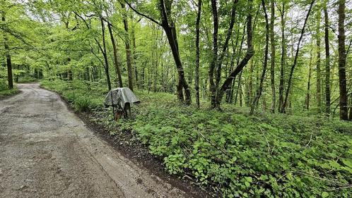 Terrain à vendre à Cerfontaine, Immo, Gronden en Bouwgronden, tot 200 m²