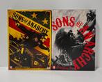 Sons of Anarchy seizoen 2+3, Cd's en Dvd's, Dvd's | Tv en Series, Ophalen of Verzenden, Boxset