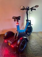 Scooter/E-Trike Joint en parfait état !, Enlèvement, Comme neuf, Step électrique (E-scooter)