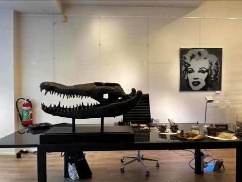 Krokodil / Schedel - groot formaat, Antiek en Kunst, Kunst | Designobjecten, Ophalen