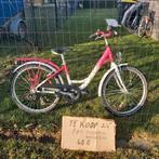 24' meisjes fiets, Ophalen, 24 inch
