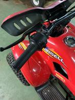 Quad 48volt met 2 laders, Motoren