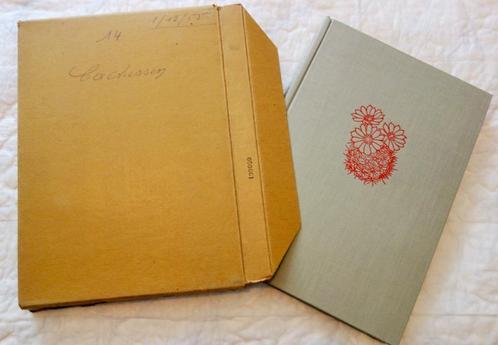 Artis Prentenalbum Cactussen (1955)., Livres, Livres d'images & Albums d'images, Neuf, Livre d'images, Enlèvement
