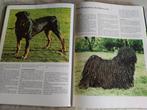 Het mooiste hondenboek + bekende hondenrassen, Boeken, Dieren en Huisdieren, Verzenden, Gelezen, Honden