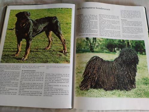 Het mooiste hondenboek + bekende hondenrassen, Boeken, Dieren en Huisdieren, Gelezen, Honden, Verzenden