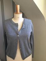 Truitje La fee Maraboutee S, Kleding | Dames, Verzenden, Nieuw, Jasje, Maat 36 (S)