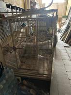 Groet vogels kooi, Dieren en Toebehoren, Ophalen, Zo goed als nieuw