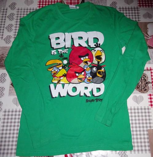 158/164 13/14 longsleeve angry birds groen bird is the word, Kinderen en Baby's, Kinderkleding | Maat 158, Gebruikt, Jongen, Shirt of Longsleeve