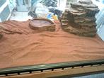 Koppel baardagamen met toebehoren, Dieren en Toebehoren, Reptielen en Amfibieën, Overige soorten, Met terrarium
