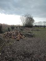 Brandhout wilg, Jardin & Terrasse, 6 m³ ou plus, Enlèvement, Autres essences de bois, Bûches