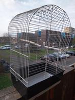 Mooie kooi en heel proper maat (H70xB50xD35)