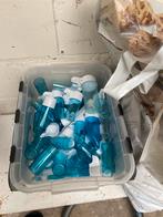 vogel gerief in goede staat, Meerdere dieren, Kleurkanarie