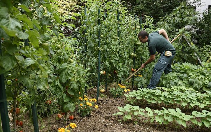 JH vous aide à faire votre jardin, extérieurs&potager, Offres d'emploi, Emplois | Nettoyage & Services techniques, À partir de 5 ans