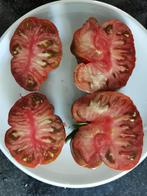 5 graines de tomate précoce Black & Red Boar, Graine, Plein soleil, Printemps, Envoi