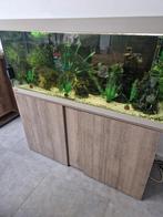 Eheim 240L LED, Dieren en Toebehoren, Vissen | Aquaria en Toebehoren, Ophalen of Verzenden