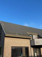 dakpannen, Doe-het-zelf en Bouw, Ophalen, Gebruikt, Steen of Klei, Dakpannen