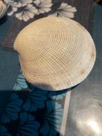 Schelpen, Verzamelen, Mineralen en Fossielen, Ophalen of Verzenden