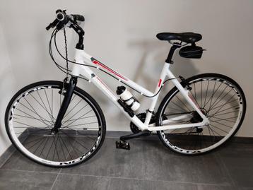 racefiets dames beschikbaar voor biedingen