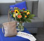 Delvaux Lundi crossbody taupe, Ophalen of Verzenden, Gebruikt, Beige, Schoudertasje