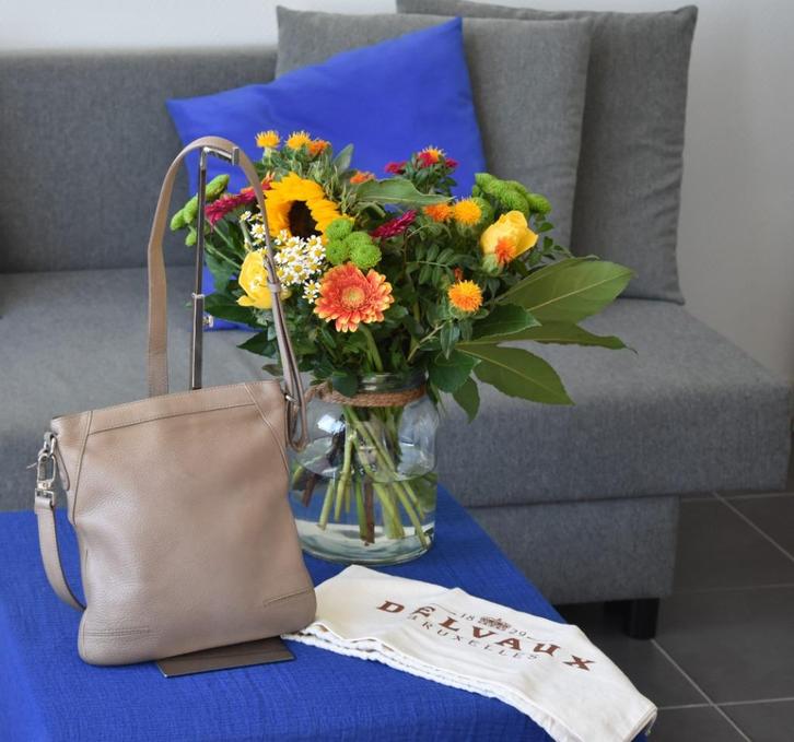 Delvaux Lundi crossbody taupe, Bijoux, Sacs & Beauté, Sacs | Sacs Femme, Utilisé, Sac à bandoulière, Beige, Enlèvement ou Envoi