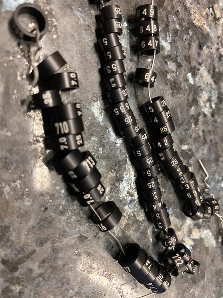 Vogelringen 2025 maat 5.0, 6.0 en 7.0, Dieren en Toebehoren, Vogels | Toebehoren, Nieuw, Overige typen, Ophalen of Verzenden