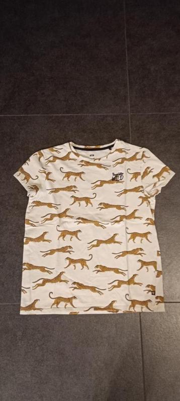 t-shirt WE maat 146 beschikbaar voor biedingen