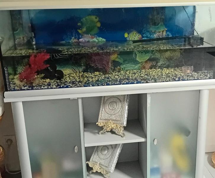 Aquarium +300L met kast en toebehoren, Animaux & Accessoires, Poissons | Aquariums & Accessoires, Comme neuf, Enlèvement ou Envoi