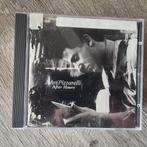 CD John Pizzarelli - After hours, Ophalen of Verzenden, 1980 tot heden, Gebruikt, Jazz