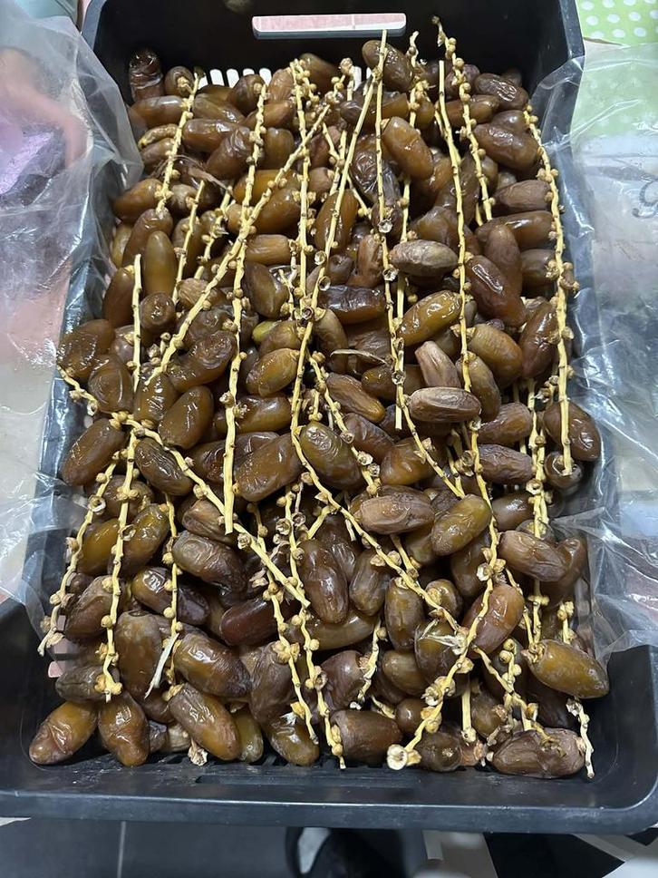 Deglet Nour Dadels + arjoun, Diversen, Levensmiddelen, Ophalen of Verzenden