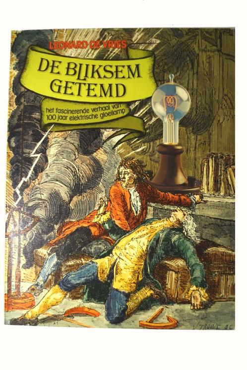 De Bliksem getemd - Leonard de Vries, Boeken, Techniek, Zo goed als nieuw, Elektrotechniek, Ophalen of Verzenden
